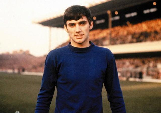 成功地培养 成功地培养